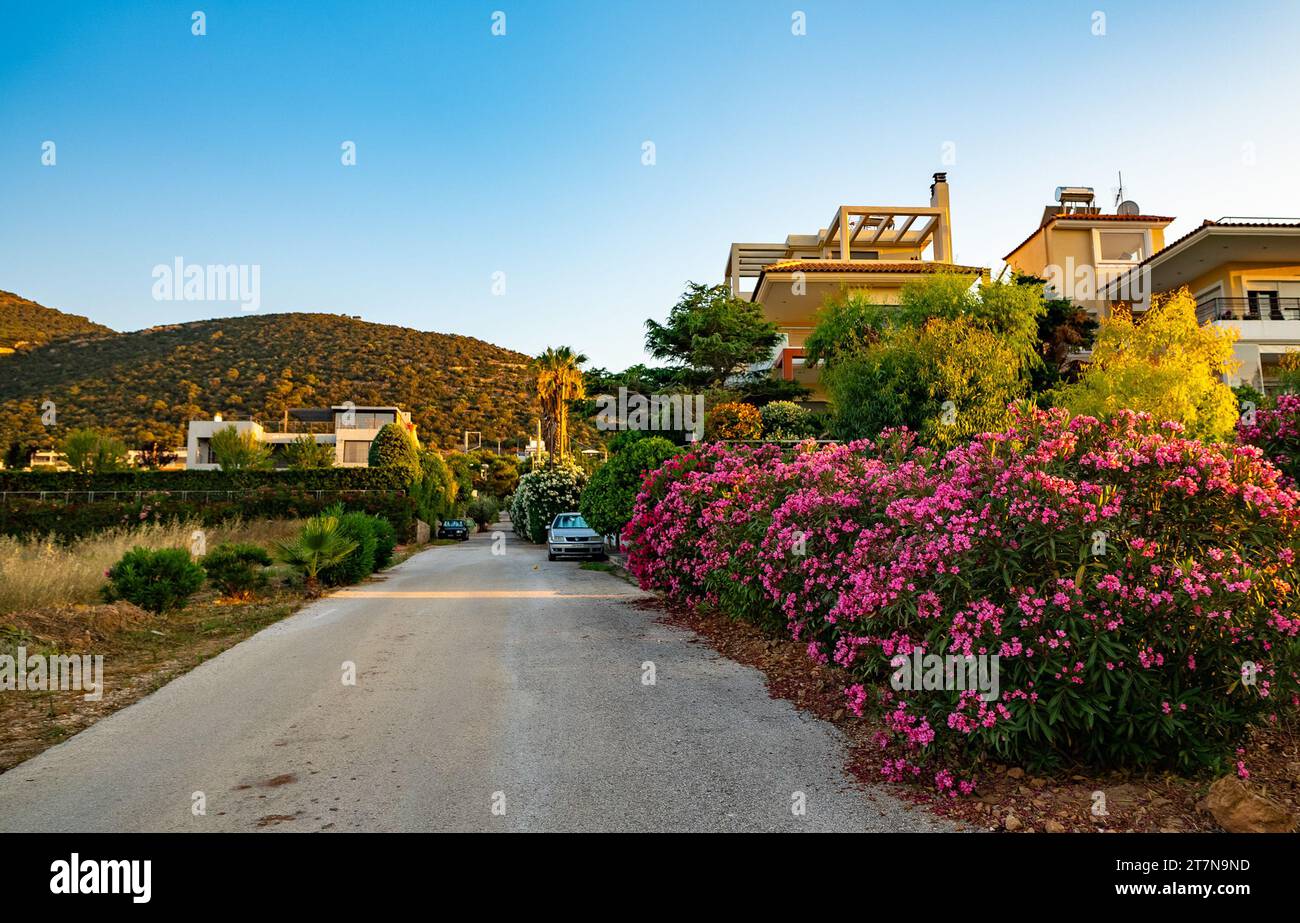 Settore privato con sviluppo residenziale in un paese mediterraneo. Foto Stock