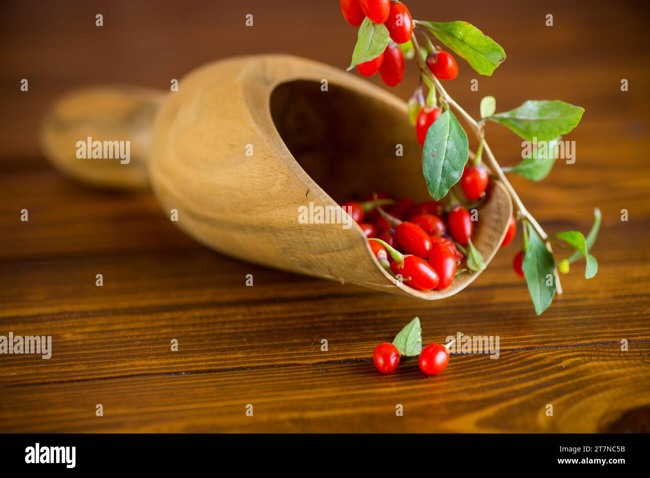 Ramo con bacca di goji rossa matura su un tavolo di legno marrone Foto Stock