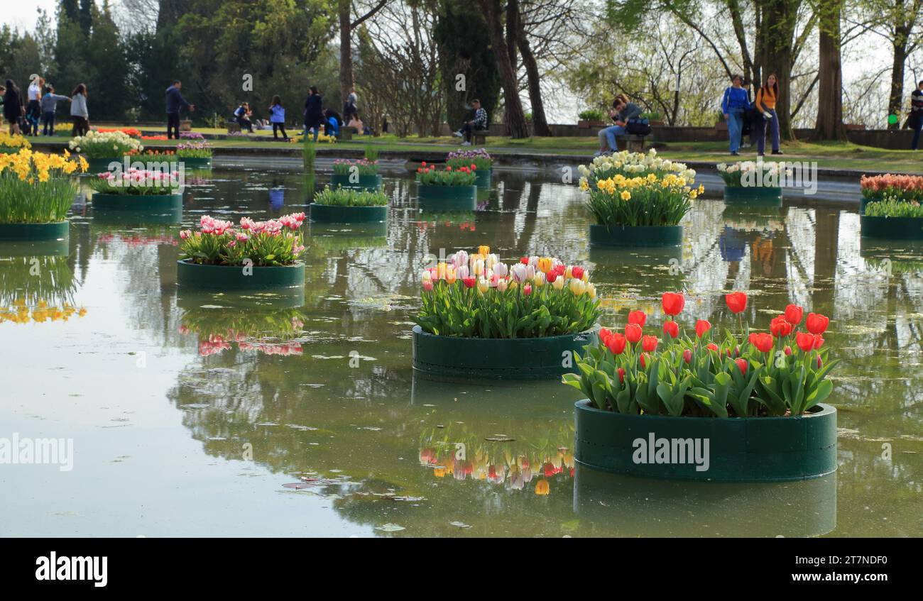 Parco dei tulipani "Parco Giardino Sigurtà", Valeggio sul Mincio, Italia Foto Stock