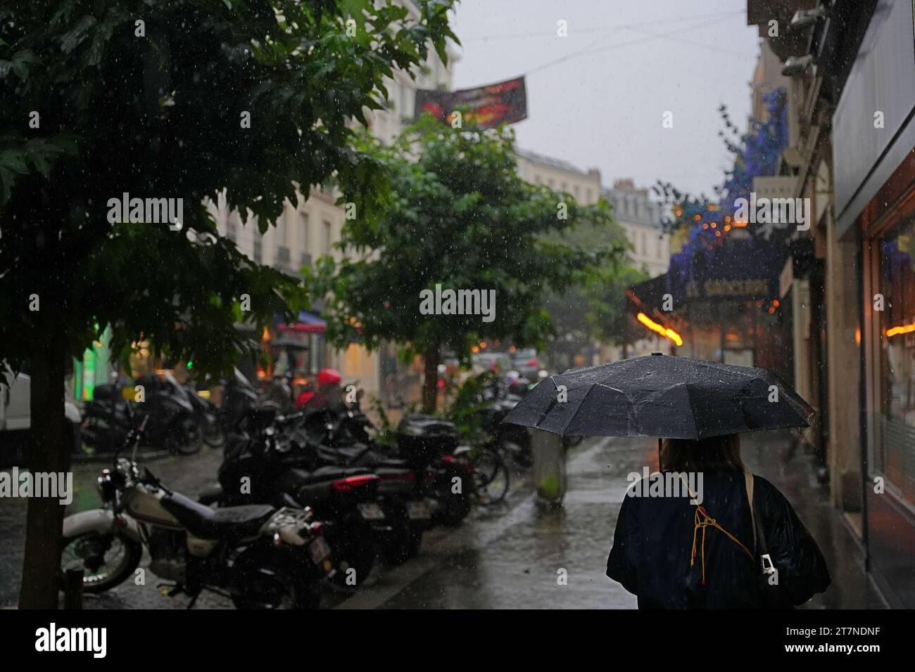 Pedonale con ombrello nella Parigi piovosa. Foto Stock