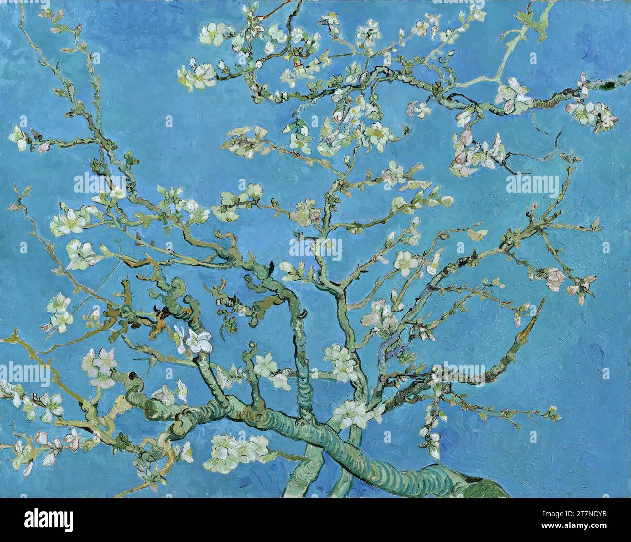 "Almond Blossom, 1890 (olio su tela) dell'artista Gogh, Vincent van (1853-90) / Dutch." Illustrazione Vettoriale