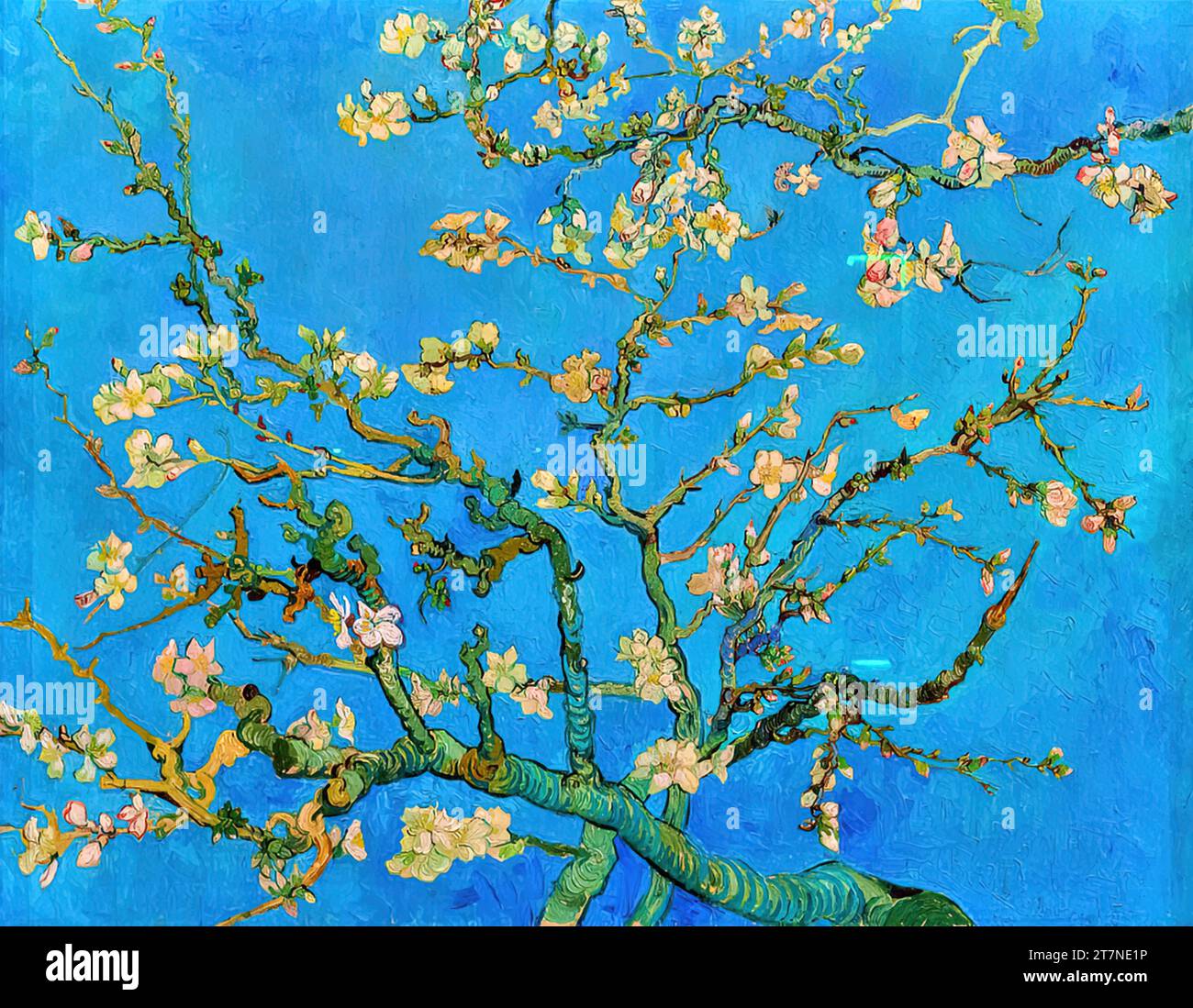 "Almond Blossom, 1890 (olio su tela) dell'artista Gogh, Vincent van (1853-90) / Dutch." Illustrazione Vettoriale