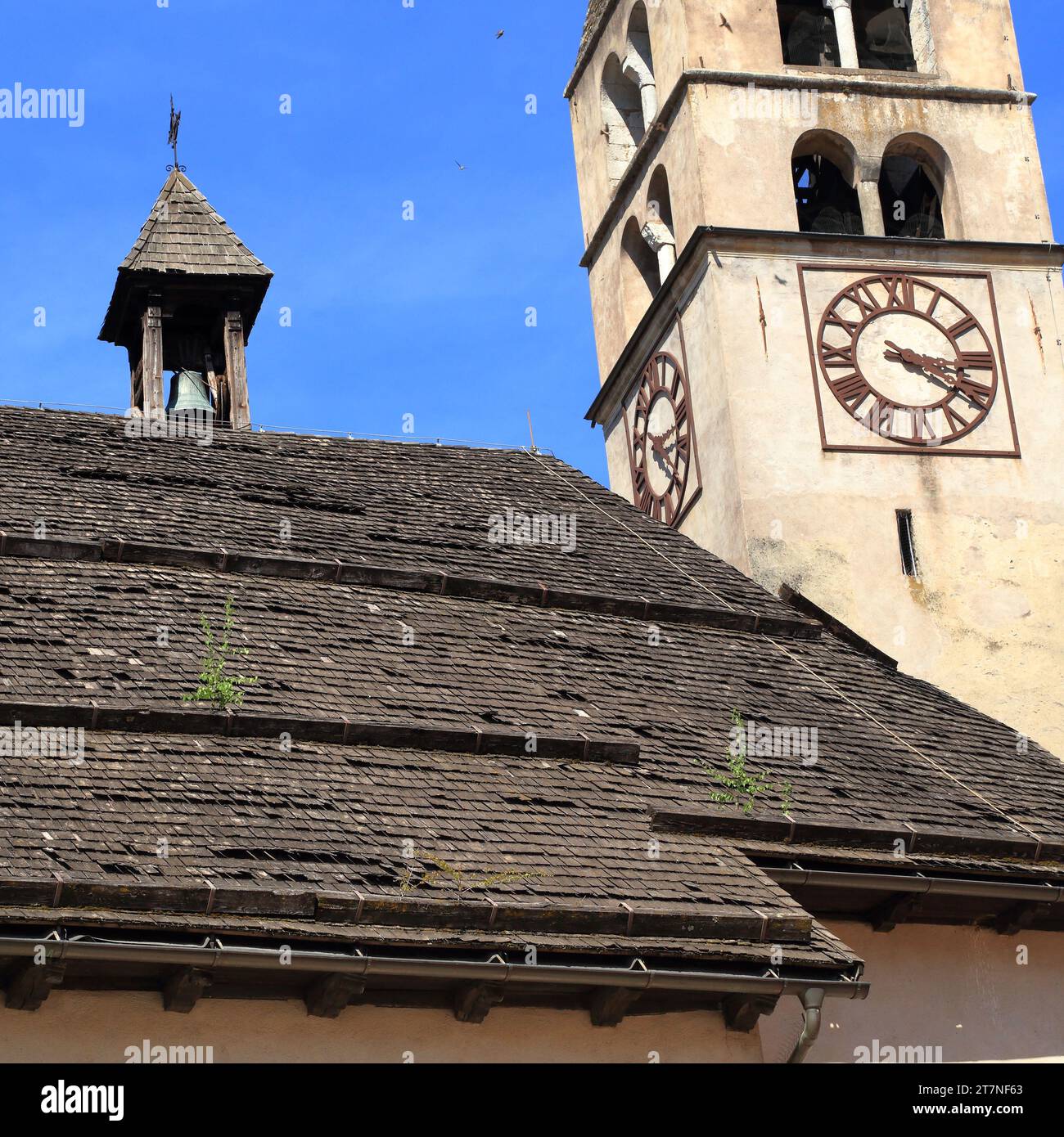 Tegole di legno sul tetto della chiesa alpina. Chiesa di Santa Maria Assunta, Malé, Trentino, Italia Foto Stock
