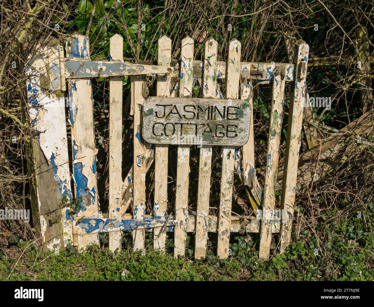 Vecchio cancello del giardino in legno per il "Jasmine Cottage" con vernice peeling e legname marcio, Wyfordby, Leicestershire, Inghilterra, Regno Unito Foto Stock