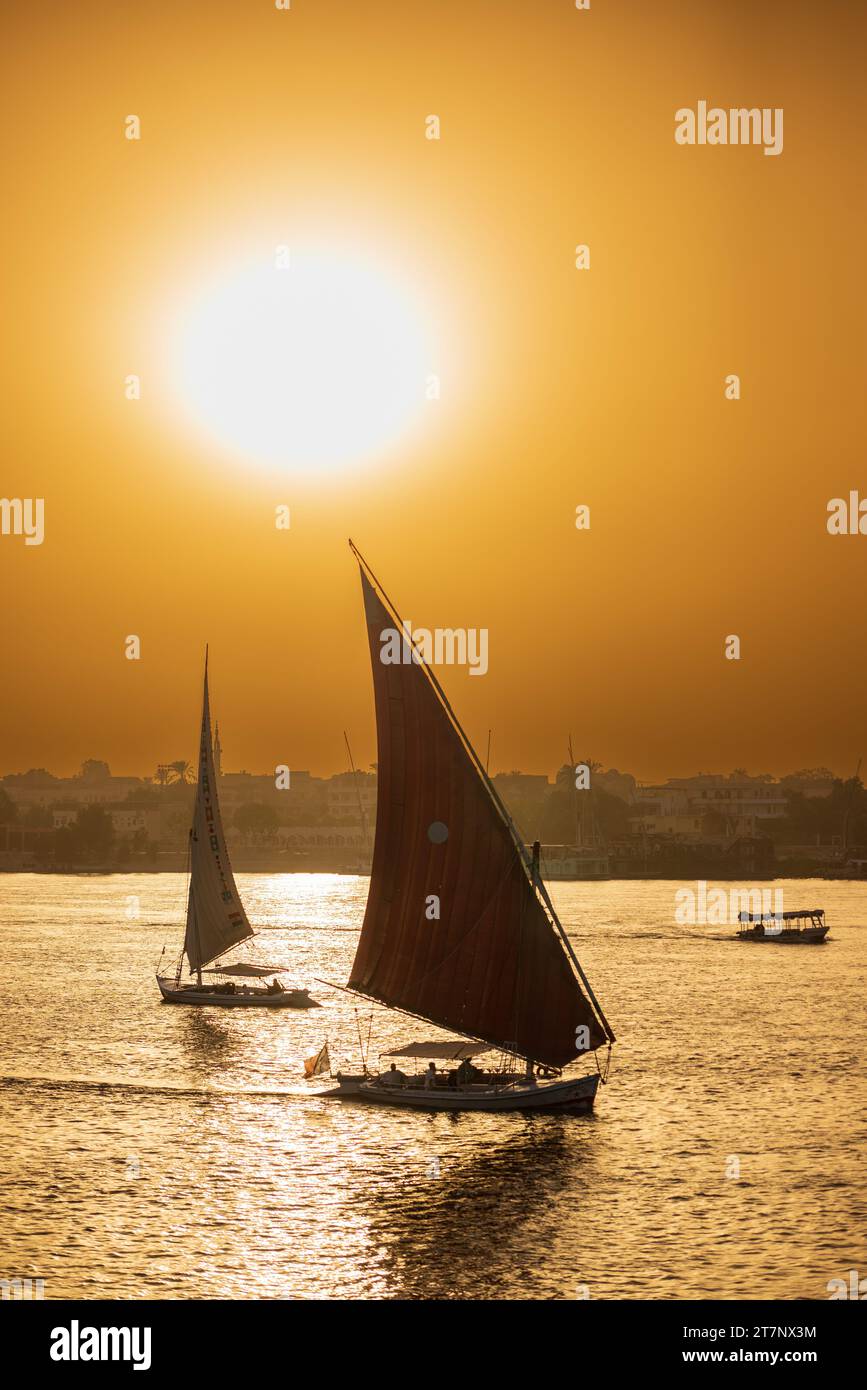 Tradizionali barche a vela in feluca sul Nilo vicino a Luxor, Egitto Foto Stock