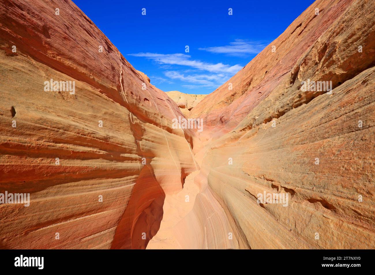 Pastel Canyon, Valley of Fire State Park, Nevada Foto Stock