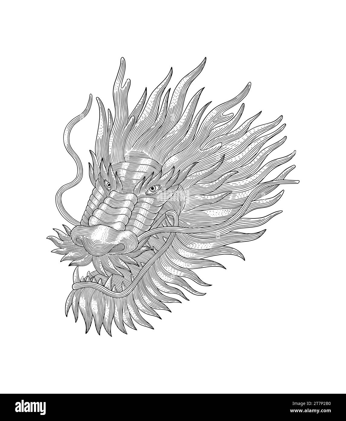 Testa di drago arrabbiato, illustrazione in stile disegno con incisione Vintage Illustrazione Vettoriale