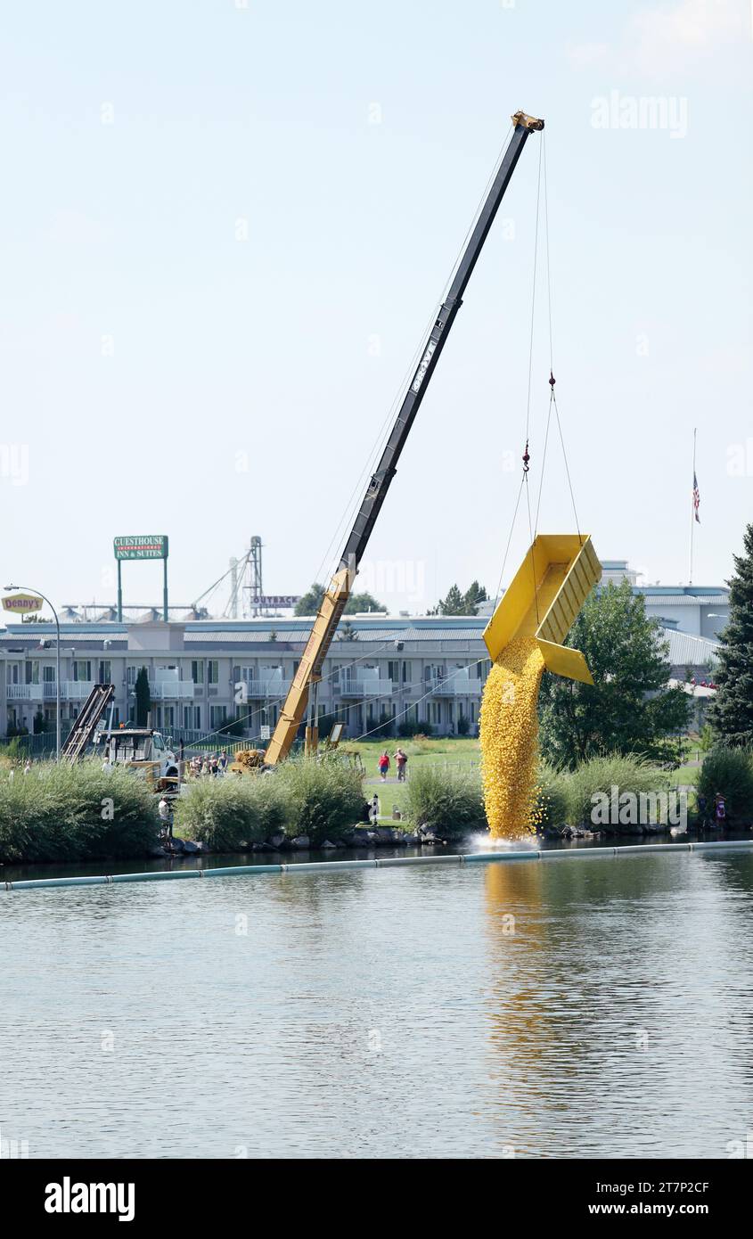 Migliaia di piccole anatre di gomma vengono gettate nel fiume Snake, nel centro di Idaho Falls, per iniziare la raccolta fondi chiamata "Great Idaho Duck Race" Foto Stock