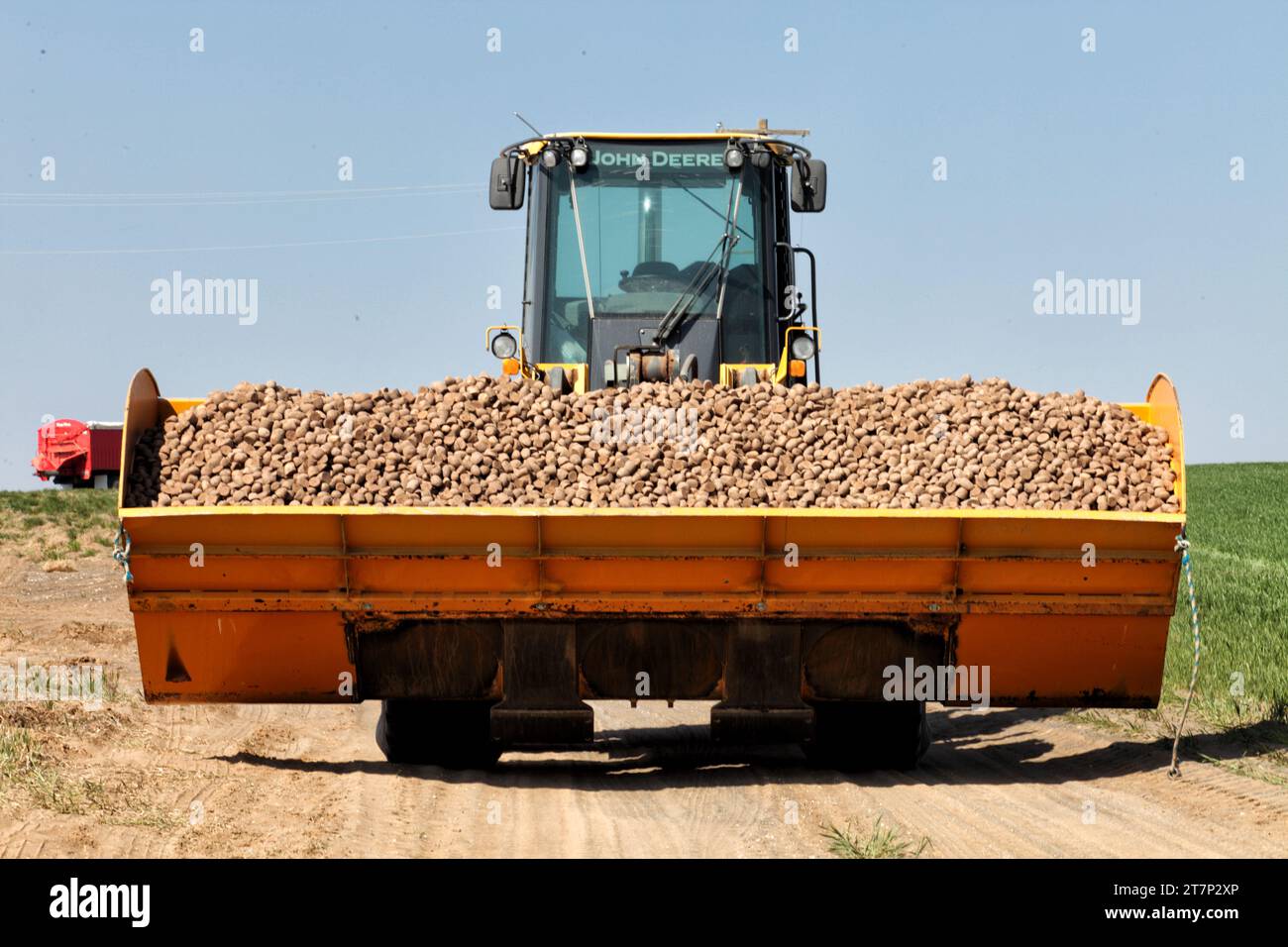 Un caricatore frontale riempito di semi di patate pronto per essere caricato in una piantatrice di patate, da piantare nei fertili campi agricoli dell'Idaho. Foto Stock