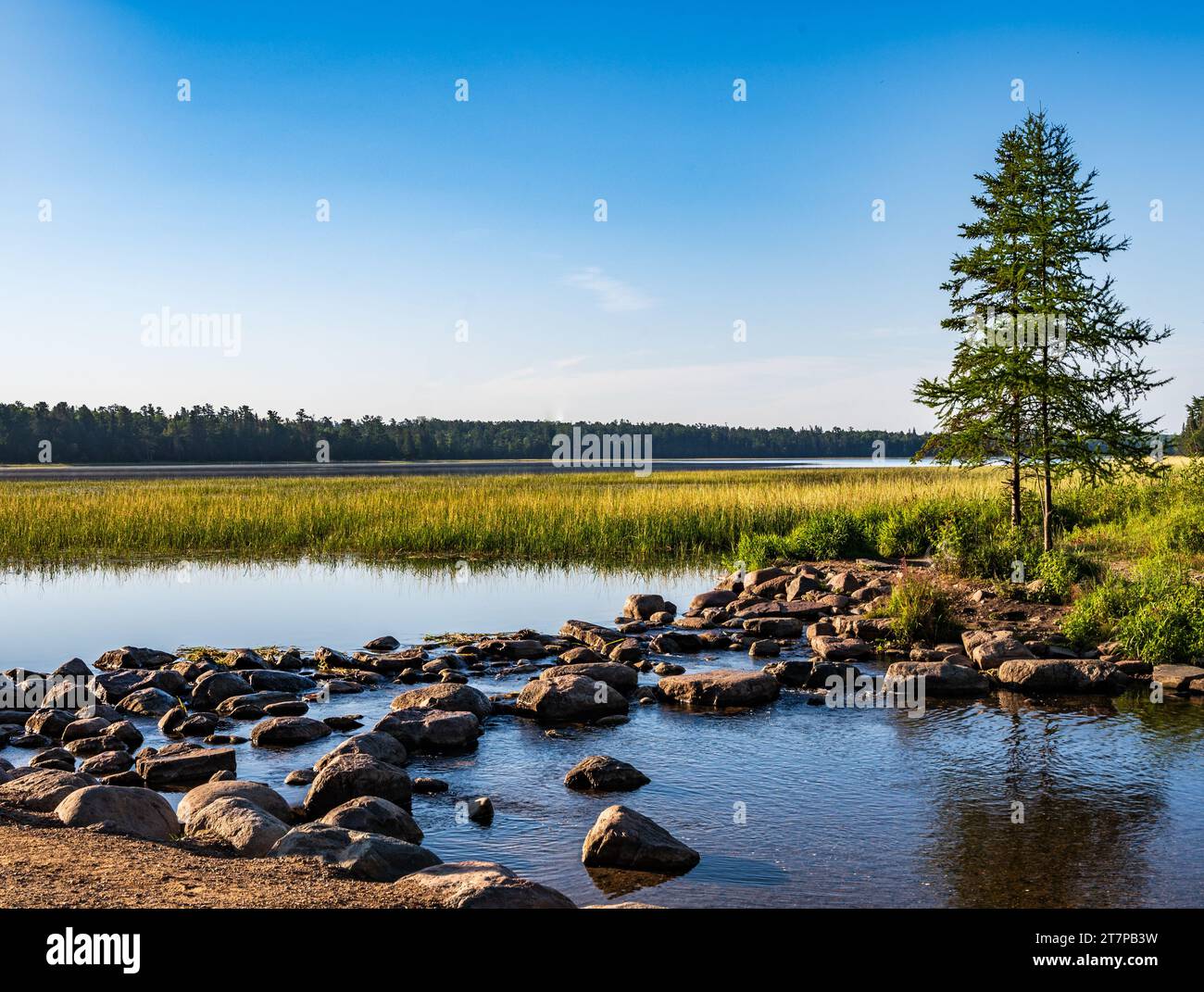 Le sorgenti del fiume Mississippi presso il lago Itasca all'Itasca State Park nel Minnesota Foto Stock