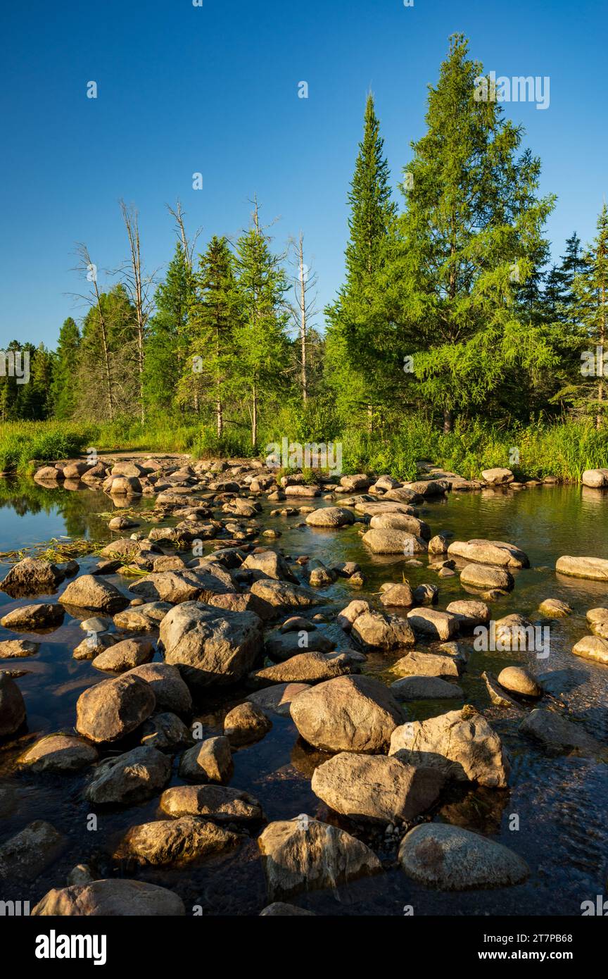 Le sorgenti del fiume Mississippi presso il lago Itasca all'Itasca State Park nel Minnesota Foto Stock