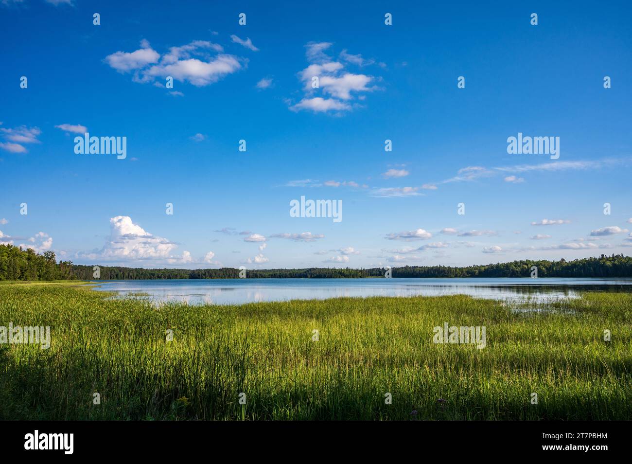 Lago nel Wilderness of Itasca State Park, Minnesota Foto Stock