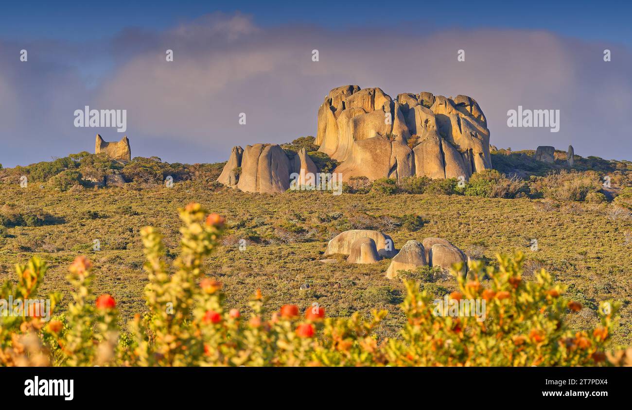 Paesaggio di formazioni rocciose di granito sul crinale al mattino presto al Waychinicup National Park, Australia Occidentale, Australia Foto Stock