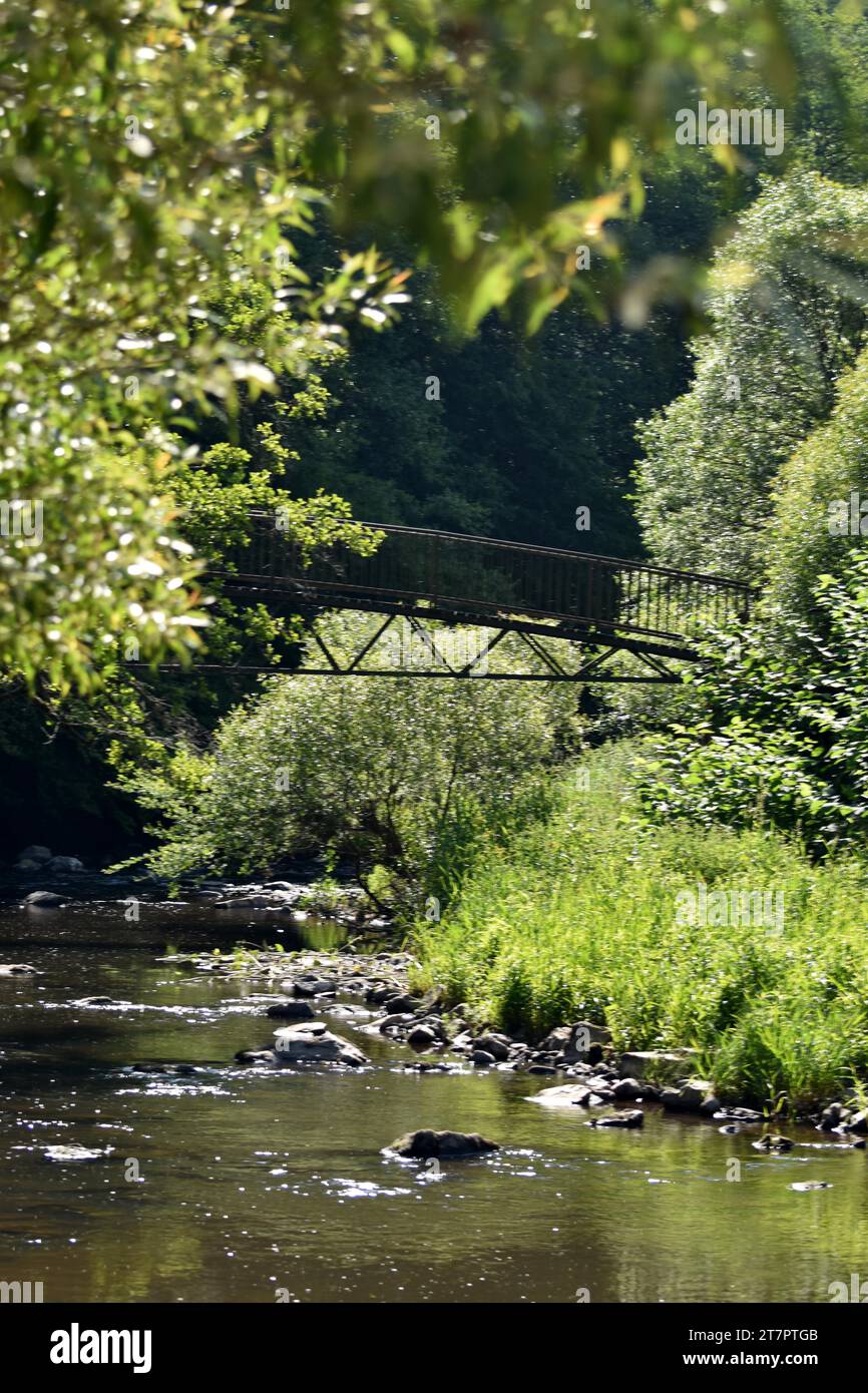 Ponte per escursionisti lungo il sentiero escursionistico Nohener-Nahe-Schleife a Naheland, Hunsrueck, Renania-Palatinato, Germania Foto Stock