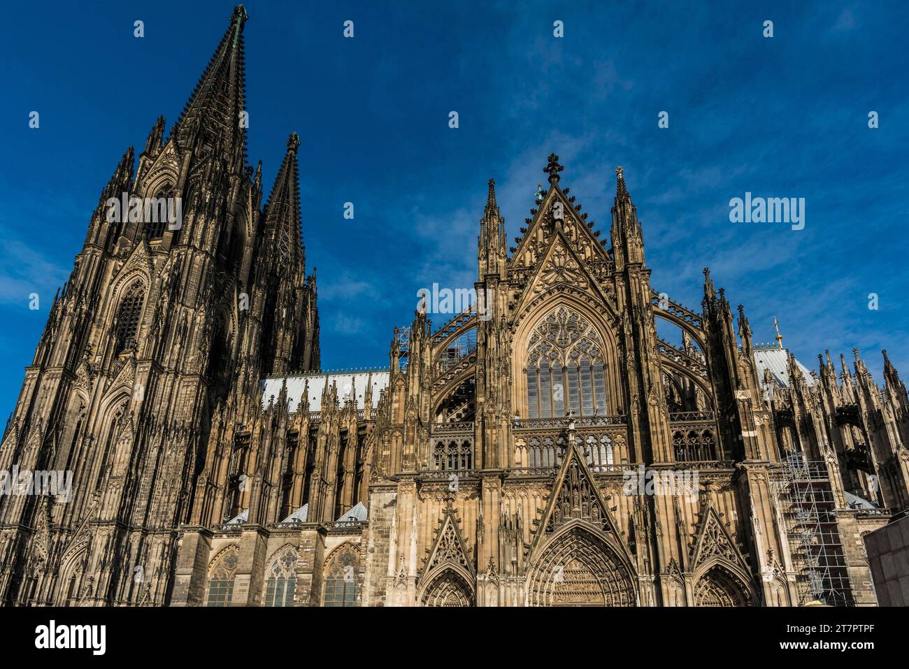 La cattedrale di Colonia, Sito Patrimonio Mondiale dell'UNESCO, Colonia, nella Renania settentrionale-Vestfalia, Germania, Europa Foto Stock