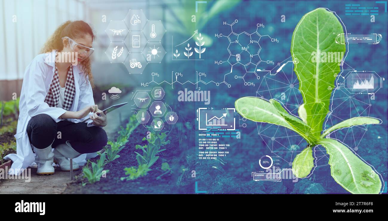 Bioricercatore scienziato lavora nella ricerca sulle bioscienze cresce in agricoltura con tecnologia digitale analisi del genoma delle piantagioni Foto Stock