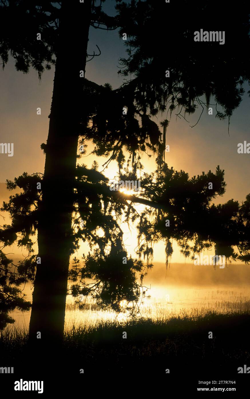 Paulina Lago di sunrise, Newberry nazionale monumento vulcanico, Oregon Foto Stock