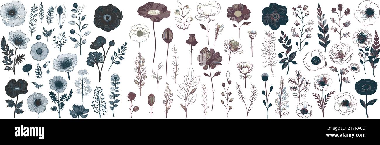 Set di elementi floreali. Set di bellissimi fiori. Collezione di fiori romantici con fiori, ramoscelli, foglie, erbe e frutti di bosco. Illustrazione Vettoriale