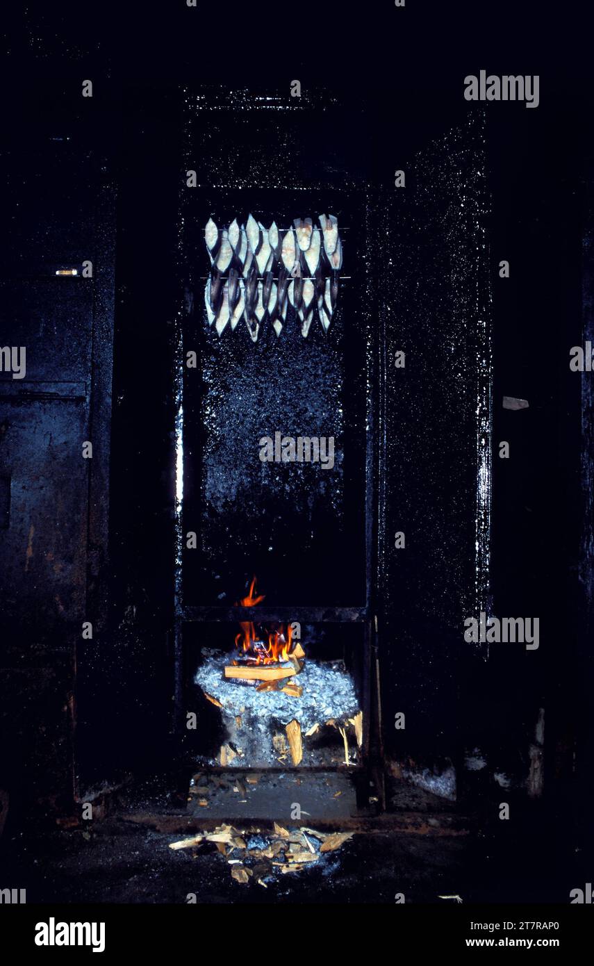 Pesce affumicato in un forno affumicato, Lohme, Rugen, Germania Foto Stock