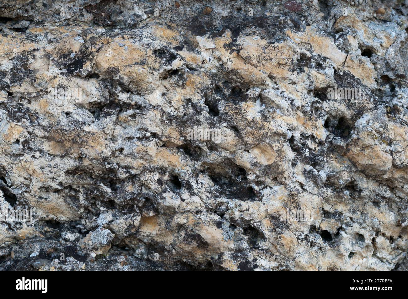 Immagine ad alta risoluzione di una superficie grigia simile a una pietra con piccoli graffi e macchie scure e chiare Foto Stock