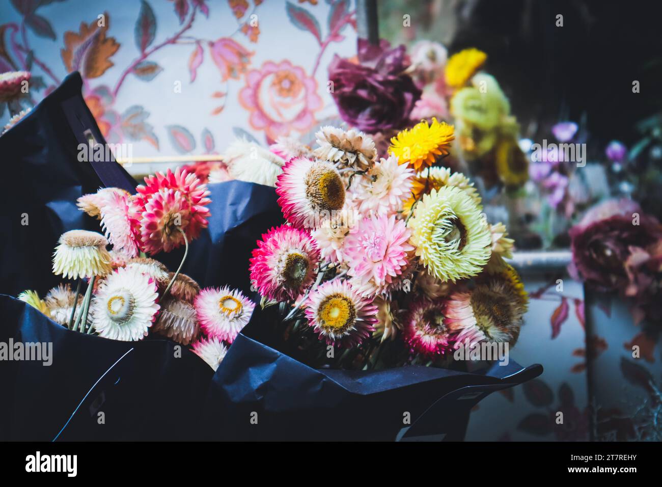 Graziosa mostra di fiori presso il negozio nel centro storico di Berna, Svizzera. Fiori appassiti. Sfocata. Foto Stock