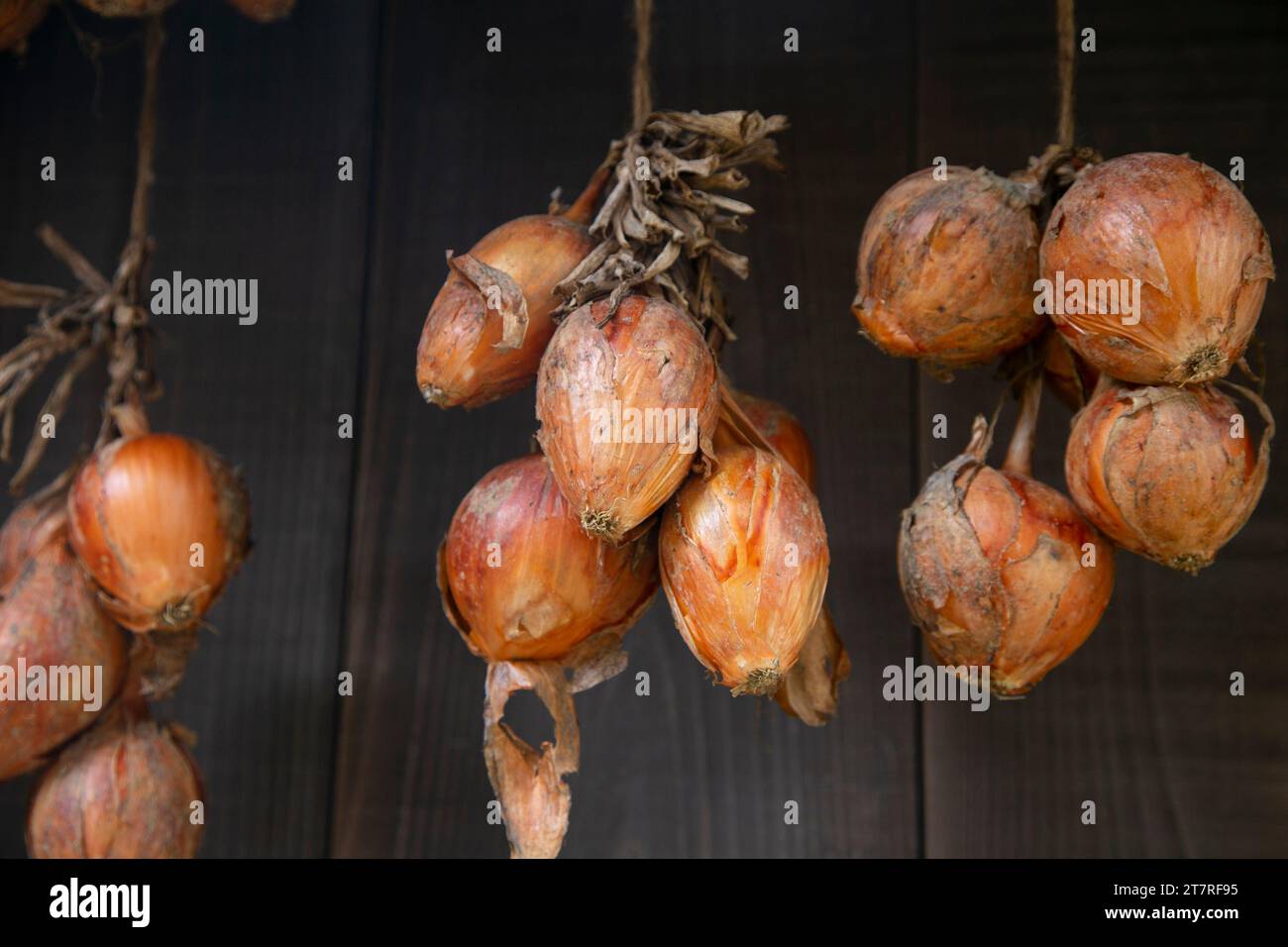 Cipolle giapponesi appese in una casa sull'isola di Sado, Niigata, Giappone. Foto Stock