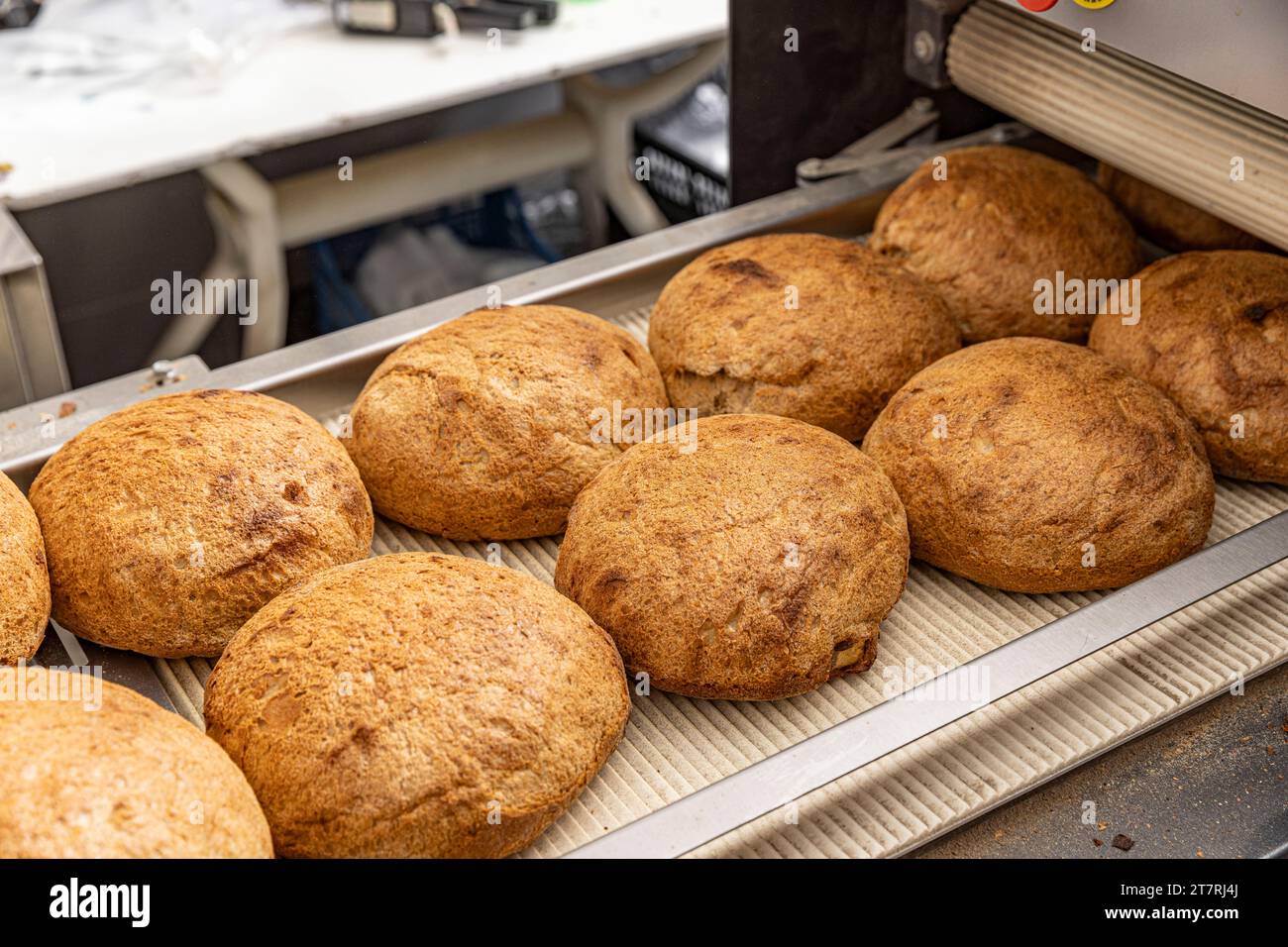 Produzione di panetteria di pane in fabbrica di alimenti con prodotti freschi. Produzione automatizzata di prodotti da forno. Foto Stock