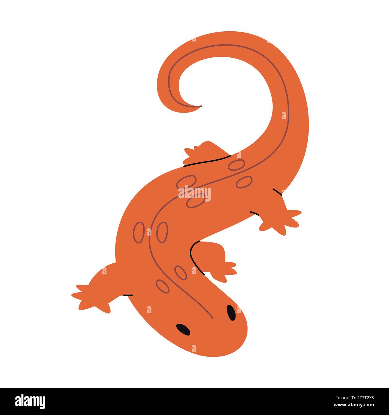 noce maculato rosso con pelle di colore arancio natura selvaggia animali anfibi specie uniche nel nord america Illustrazione Vettoriale