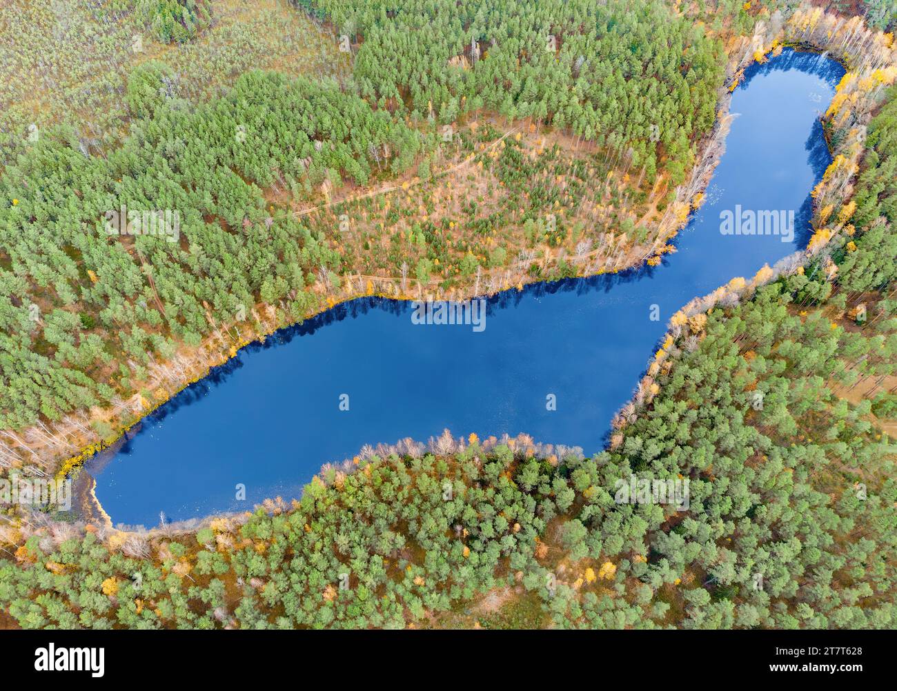 Vista aerea del lago nelle foreste lituane, natura selvaggia autunnale. Nome del lago "Ilgis", distretto di Varena, Europa Foto Stock