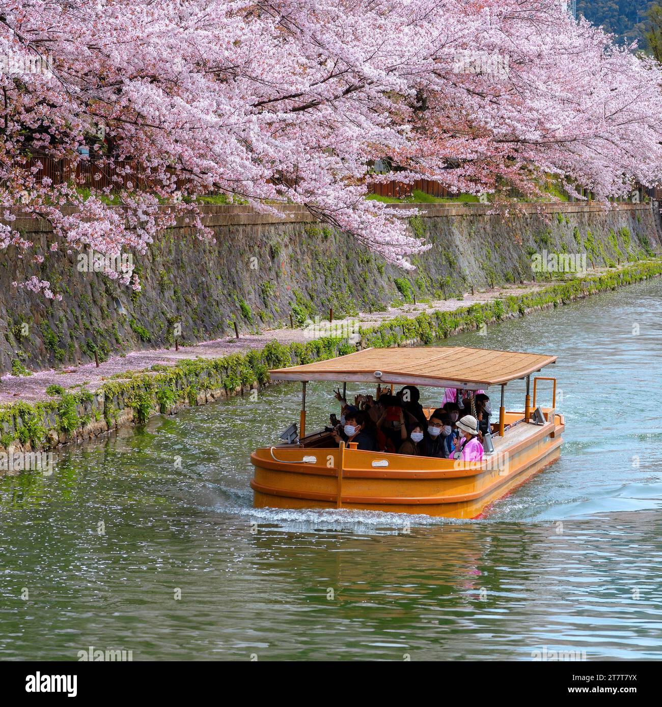 Kyoto, Giappone - 2 aprile 2023: Il giro in barca Okazaki Jikkokubune effettua una crociera di tre chilometri dal molo delle barche di Nanzenji alla diga di Ebisu e ritorno Foto Stock