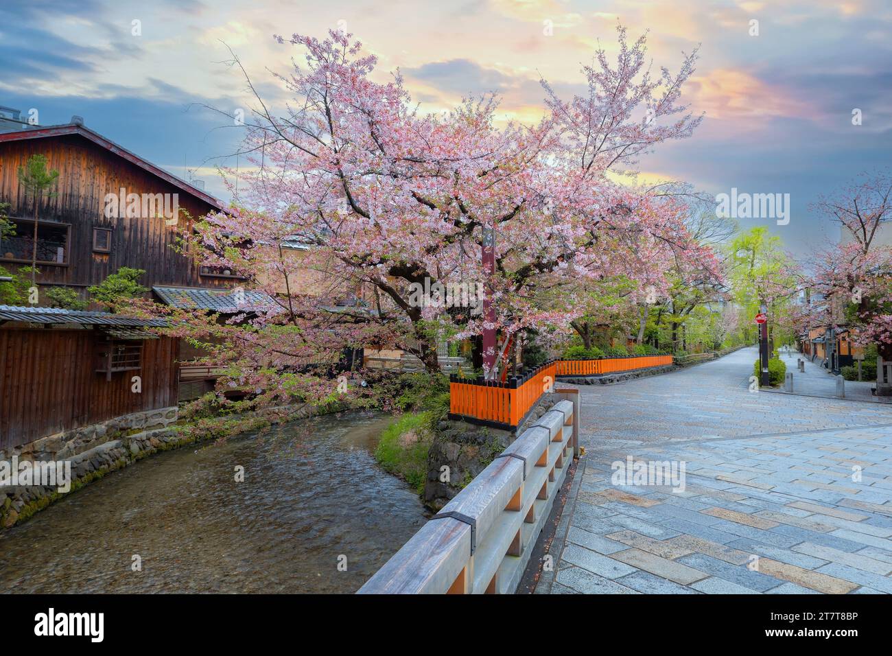 Kyoto, Giappone - 6 aprile 2023: Il ponte Tatsumi bashi è il luogo simbolo del distretto di Gion. E' un piccolo ponte che attraversa il torrente Shirakawa che scorre Foto Stock