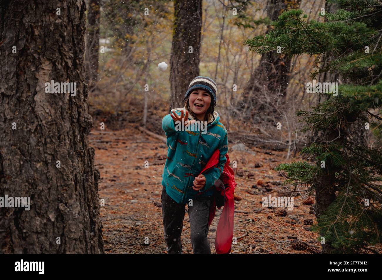 ridendo il bambino lancia palle di neve mentre cammina nel bosco Foto Stock