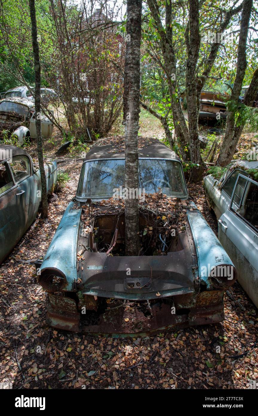 Årjäng SV, Svezia.0717-2018 Båstnäs Cimitero automobilistico. Foto Stock