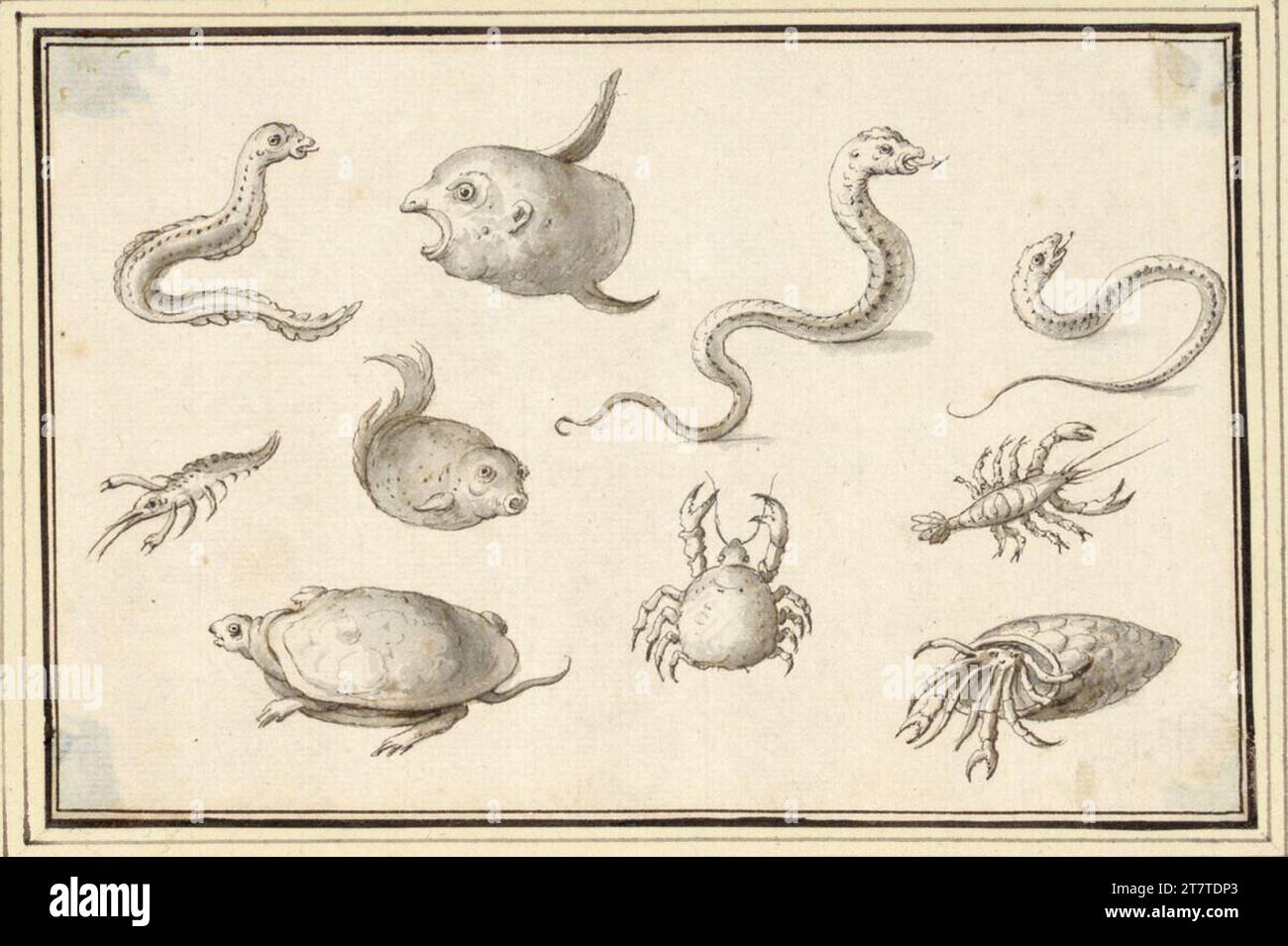 Foglio di studio di Albert Flamen con luna e pesci sferici, tartarughe, anguille e granchi (V-32). Feder in grigio e marrone, lavato grigio; leggermente danneggiato negli angoli. Foto Stock