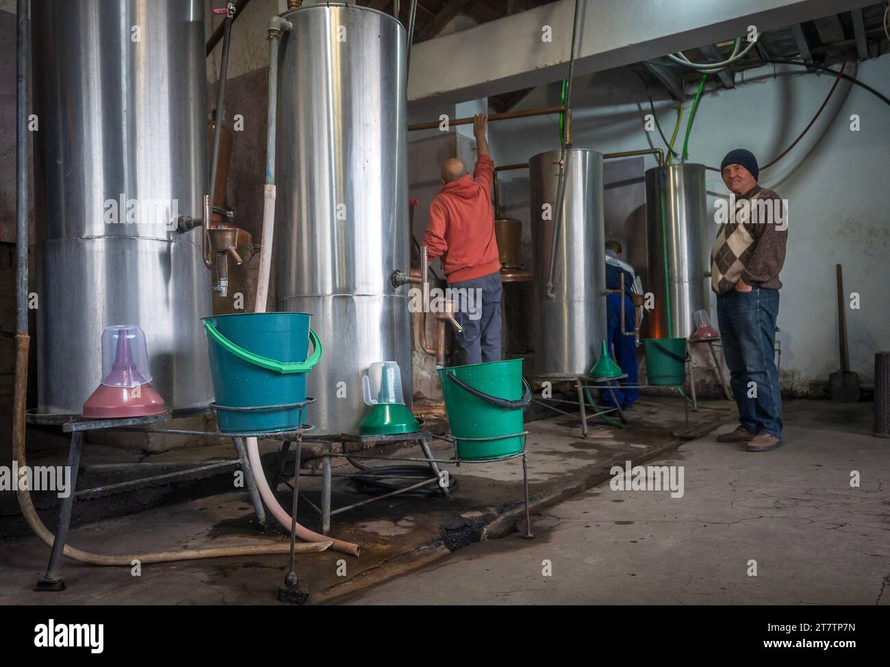 Elhovo Bulgaria 17 novembre 2023: I giorni più freddi dell'autunno tempo tradizionale per fare Rakija. Il Rakija è prodotto da frutta fermentata e distillata, tipicamente prugne e uva, ma anche albicocche, pere, ciliegie, lamponi. I frutti meno comunemente utilizzati sono pesche, mele, fichi e more. Il RAKIA viene solitamente servito in piccoli bicchieri, viene sotto l'ombrello che copre tutti i tipi di brandy alla frutta. I bulgari credono che la bevanda Rakija abbia benefici per la salute che aiutano a combattere contro i radicali liberi rakiya.Rakija è originario della bulgaria scoperto 11 ° secolo. Cliff Norton Alamy Live News Foto Stock
