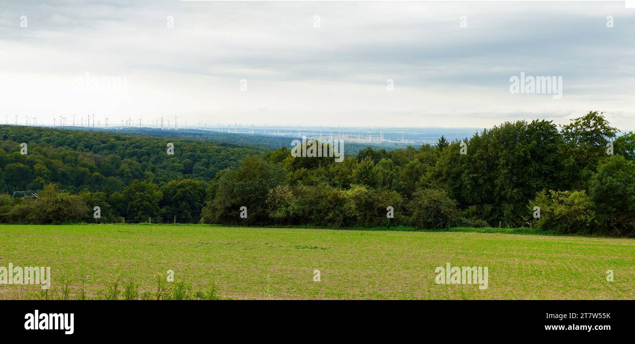 Landschaftspanorama mit Windkraftanlagen Foto Stock