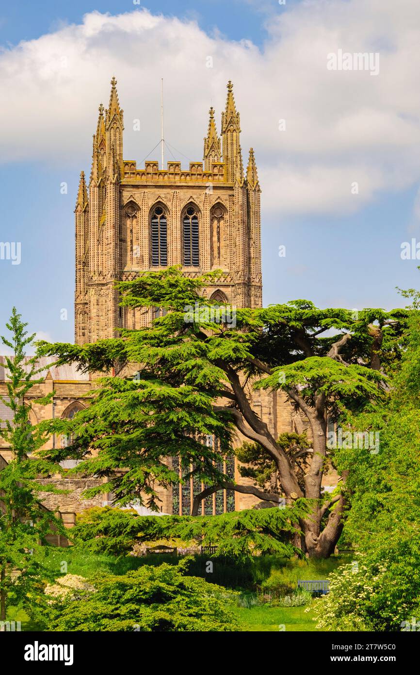 Vista sul campanile della Cattedrale di Santa Maria Vergine a Hereford, Herefordshire, Inghilterra, Regno Unito, Gran Bretagna Foto Stock