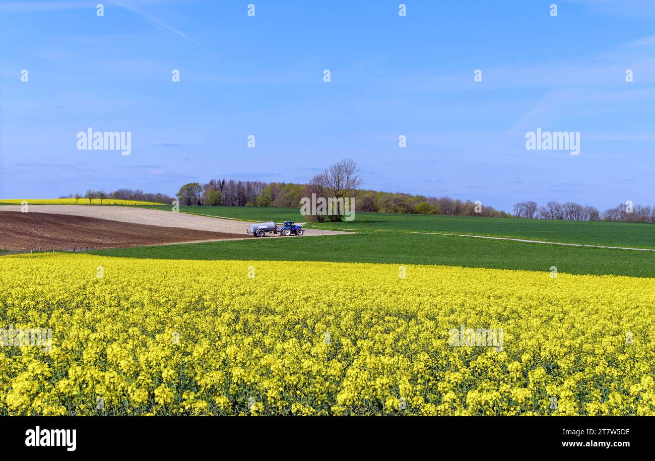 Wenn der Bauern im Märzen... Foto Stock