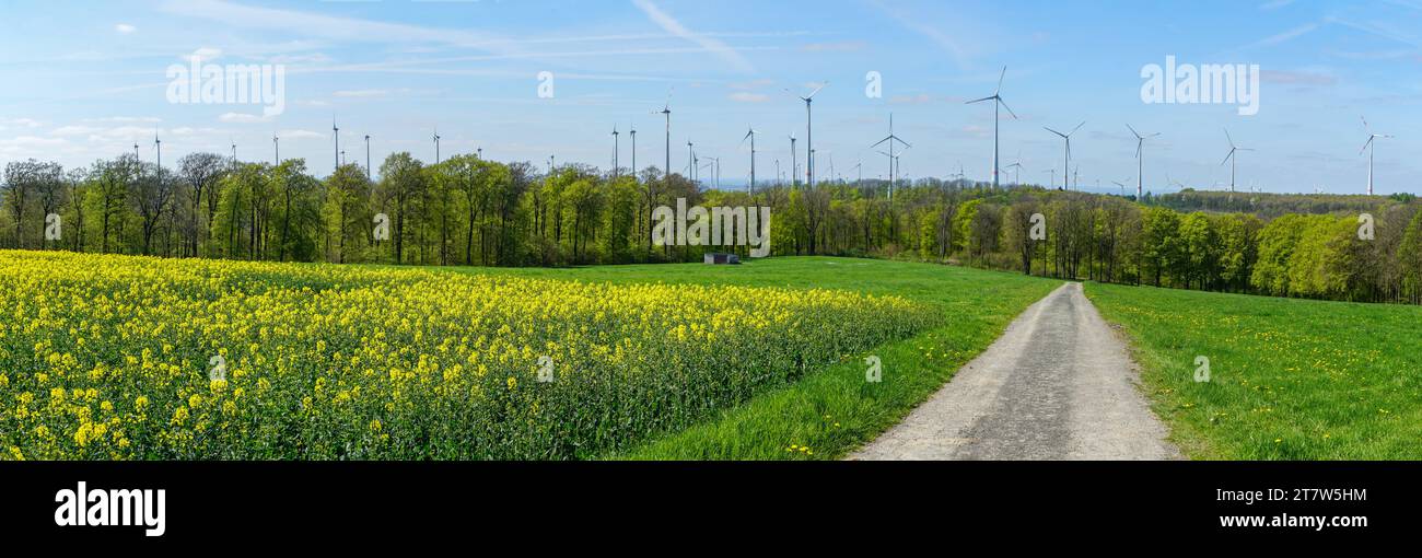 Landschaftspanorama mit Windkraftanlagen Foto Stock
