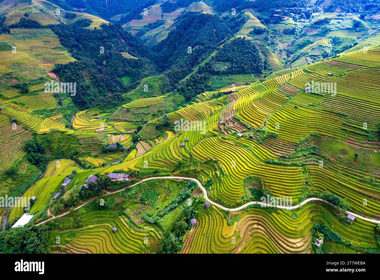 Vista aerea del campo di risaia a terrazza di la Pan Tan vicino a Sapa, Vietnam Foto Stock