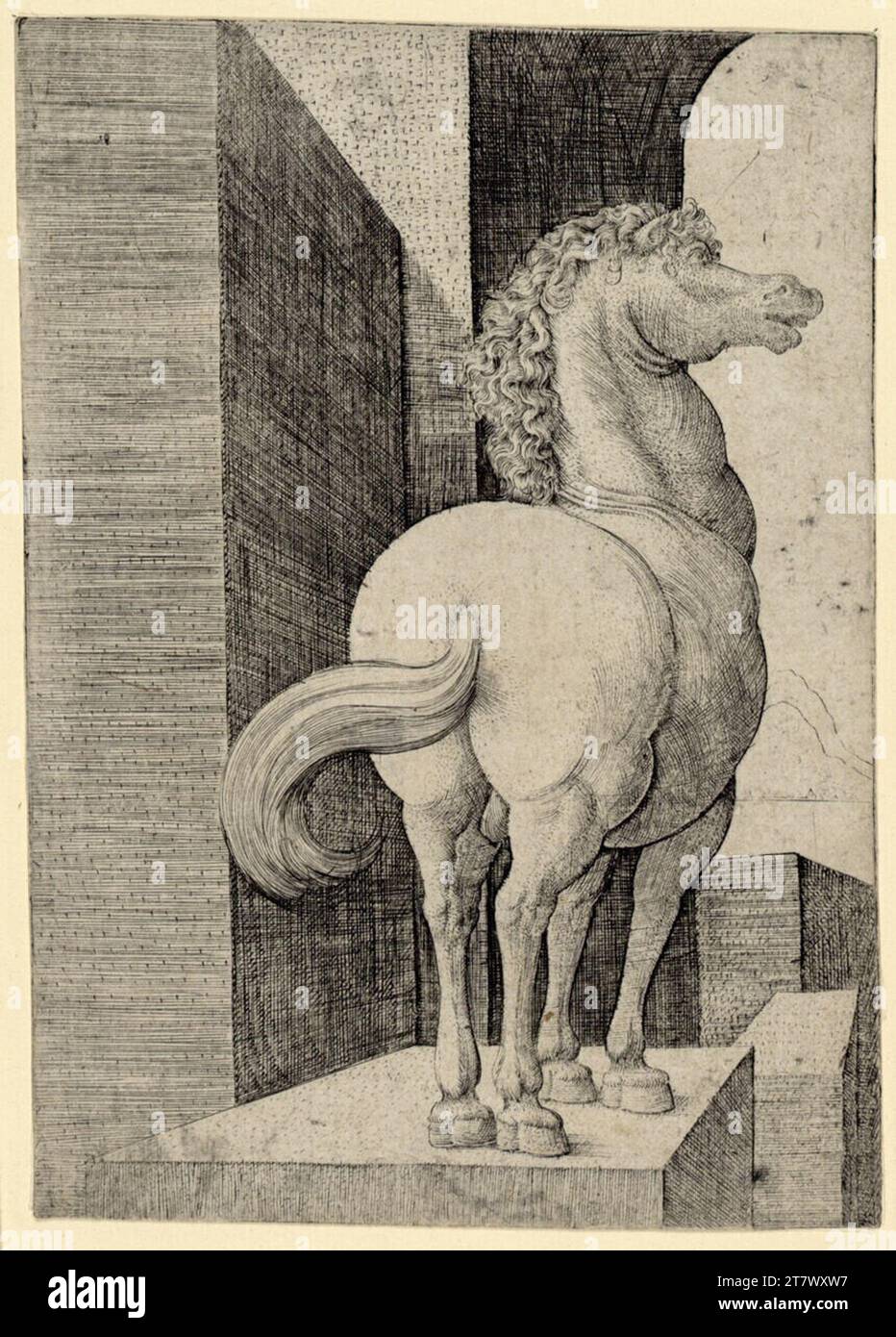 Frans Crabbe È Un cavallo. Stampa in rame 1520-1530 , 1520/1530 Foto Stock