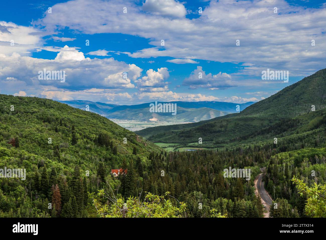 Little House ha perso nel bosco Foto Stock