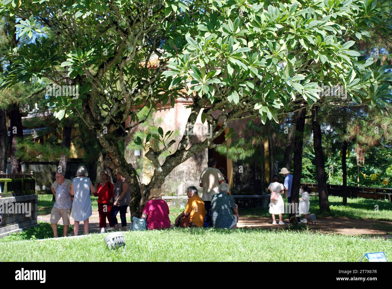 I turisti cercano ombra sotto gli alberi in un tempio in Vietnam Foto Stock