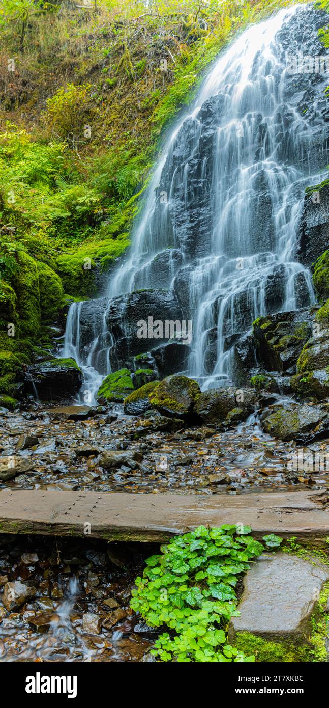 Cascate Fairy sul Wahkeena Creek Trail, Columbia River Gorge, Oregon, USA Foto Stock