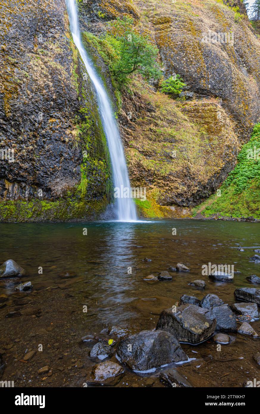 Cascate Horsetail che si tuffano nella piscina, Cascade Locks, Columbia River Gorge National Scenic, area, Oregon, USA Foto Stock