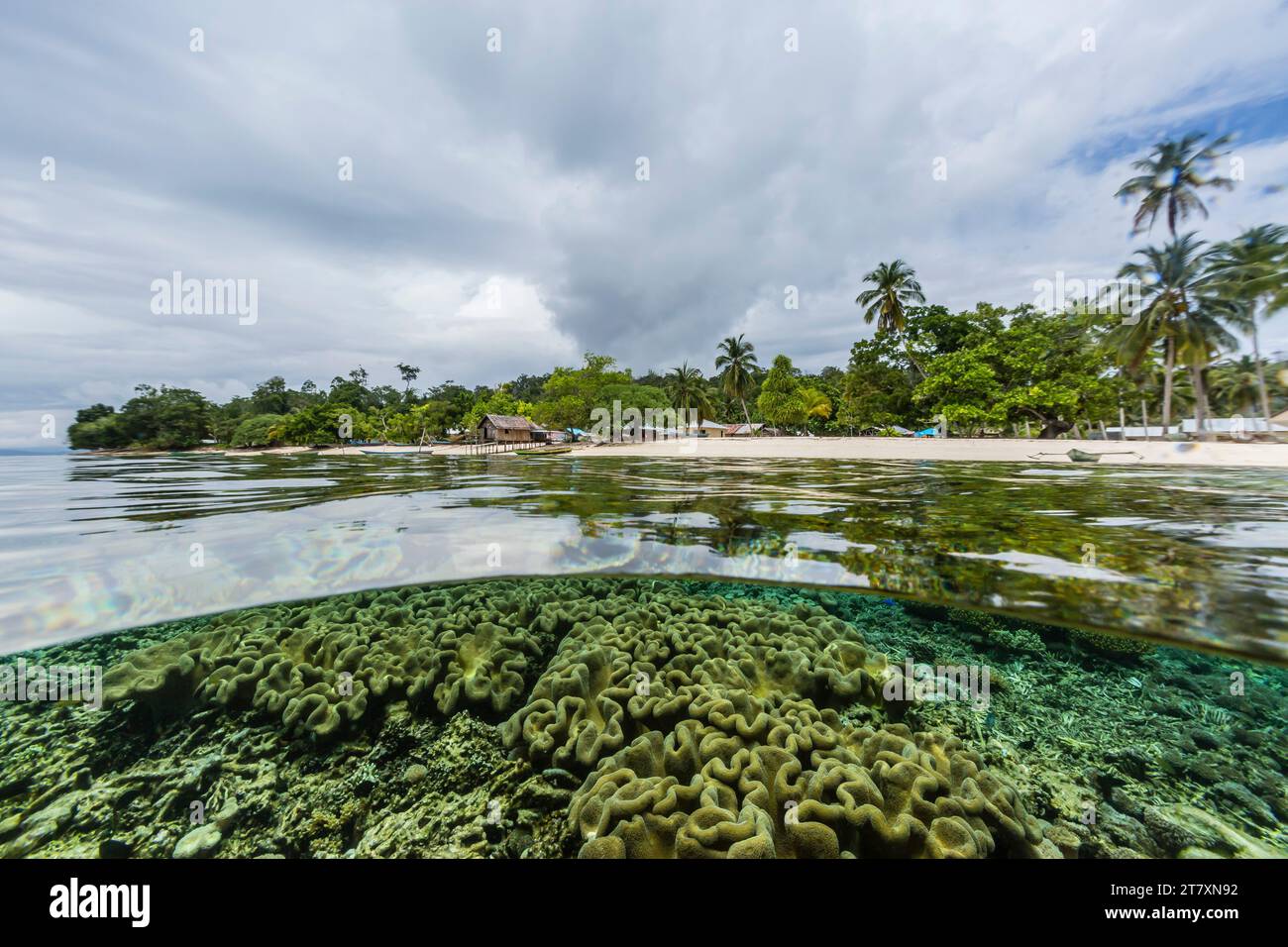Vista sopra e sotto la barriera corallina del villaggio di Sauwaderek, Raja Ampat, Indonesia, Sud-est asiatico, Asia Foto Stock