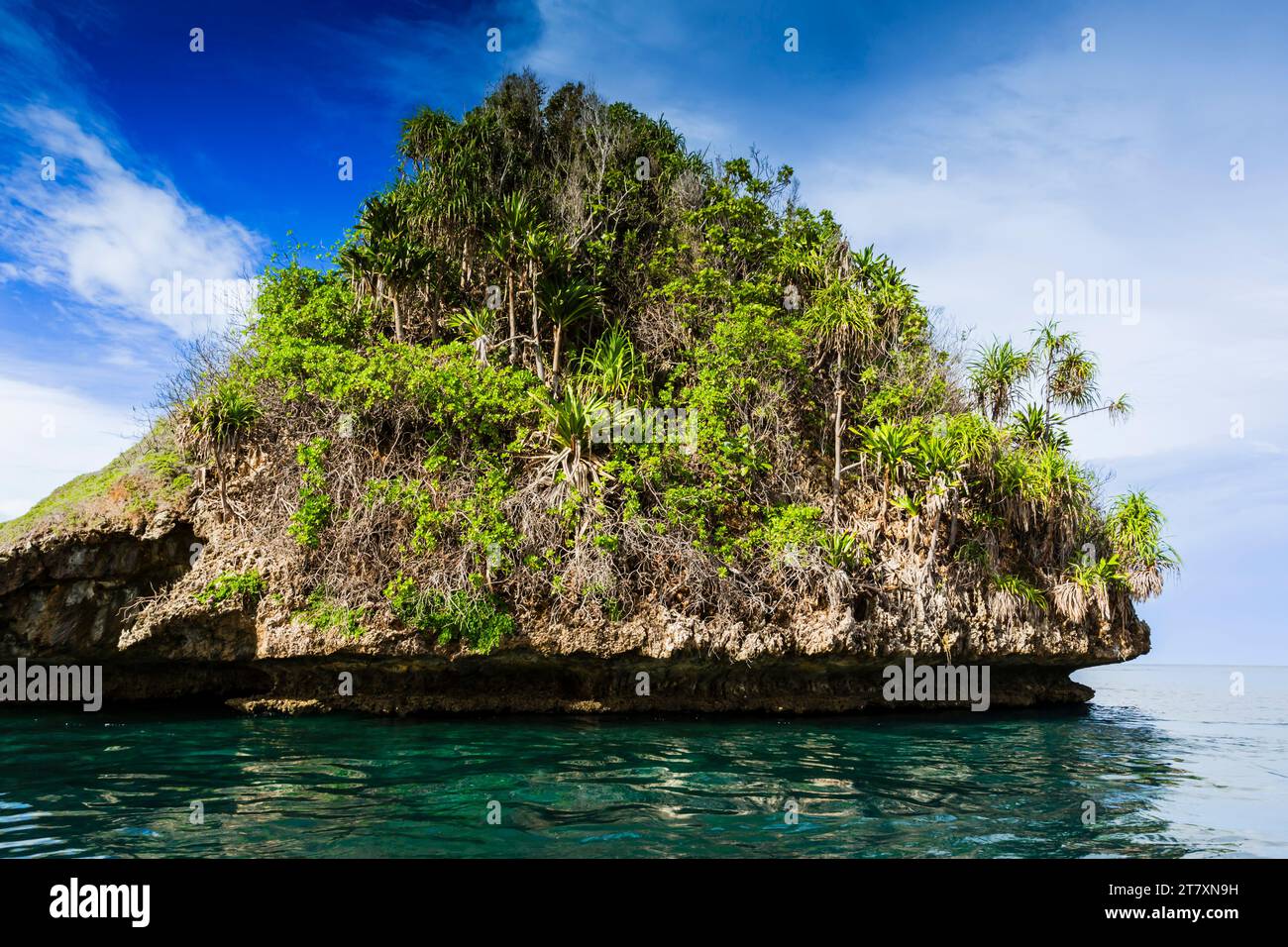 Vista delle isolette ricoperte di vegetazione dall'interno del porto naturale protetto di Wayag Bay, Raja Ampat, Indonesia, Sud-Est asiatico, Asia Foto Stock