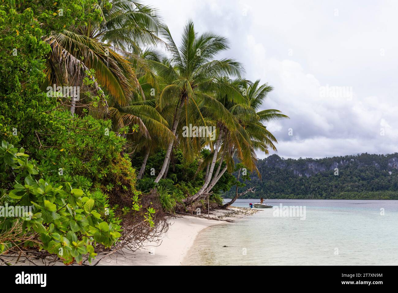 Spiagge di sabbia bianca e palme da cocco a Batu Hatrim, Raja Ampat, Indonesia, Sud-est asiatico, Asia Foto Stock