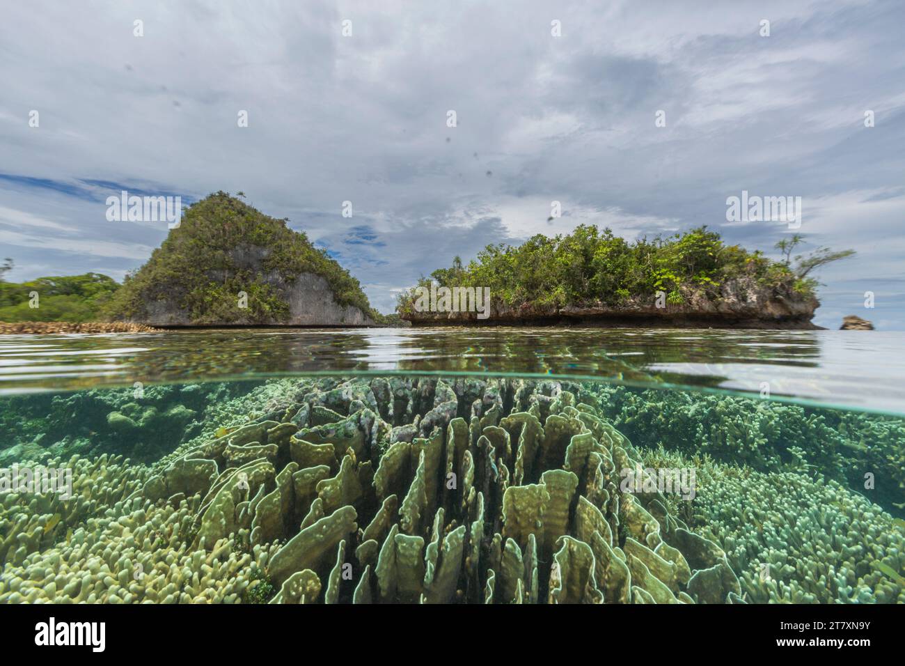 Foto sopra e sotto nelle acque cristalline delle barriere coralline poco profonde al largo di Wayag Bay, Raja Ampat, Indonesia, Sud-est asiatico, Asia Foto Stock