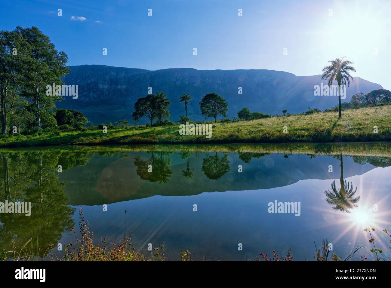 Alberi che si riflettono in uno stagno, Serra da Canastra, stato del Minas Gerais, Brasile, Sud America Foto Stock